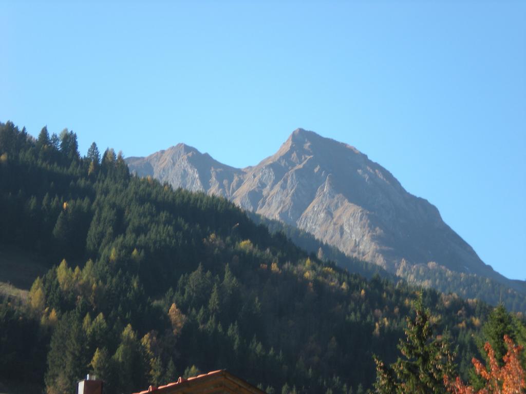 Appartement Haus Zerza à Dorfgastein Extérieur photo